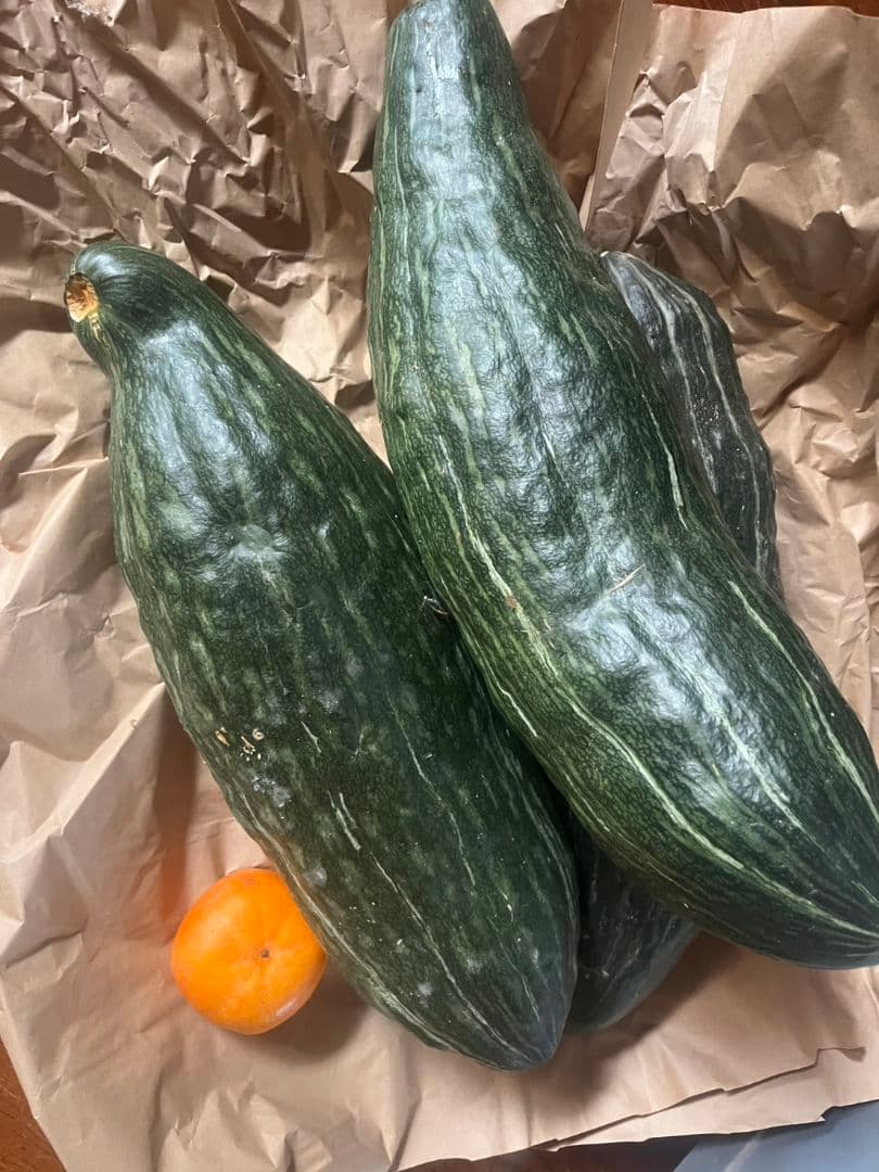 武家丸⭐️１０キロお野菜セット