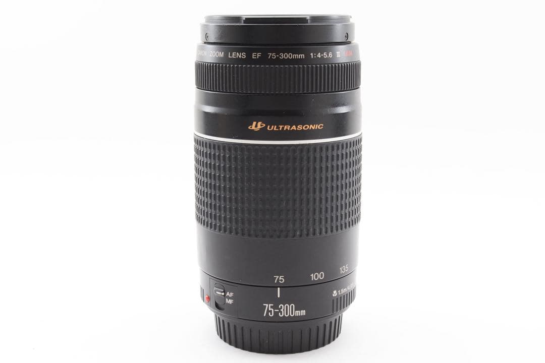 望遠レンズ/デジタル一眼レフカメラ/Canon EF75-300㎜