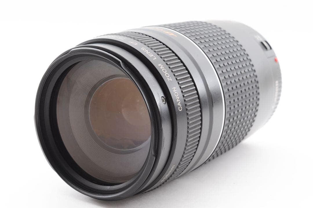 望遠レンズ/デジタル一眼レフカメラ/Canon EF75-300㎜