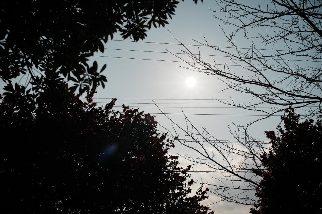 LM-EA7/9で真価 フォクトレンダー NOKTON 50mm f1 VM