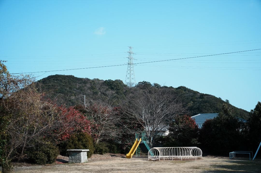 LM-EA7/9で真価 フォクトレンダー NOKTON 50mm f1 VM