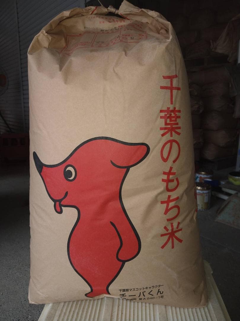 令和7年千葉県産農家直送マンゲツモチ玄米3０㎏関東甲信越の方へ沖縄県離島の方除く