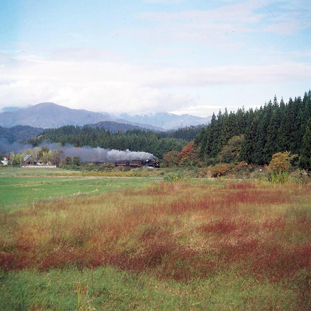 【実写確認済整備品】マミヤC220プロフェッショナル／セコール80mmf2.8付