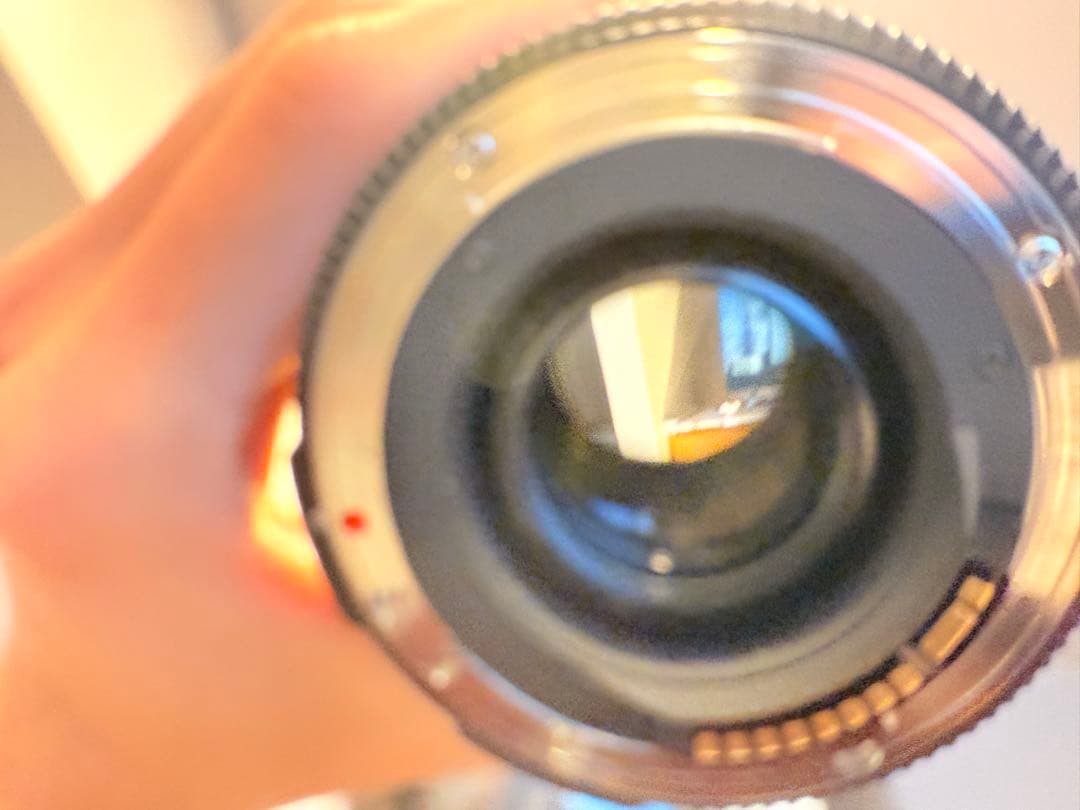 SIGMA シグマ 17-50mm F2.8 EX DC OS HSM