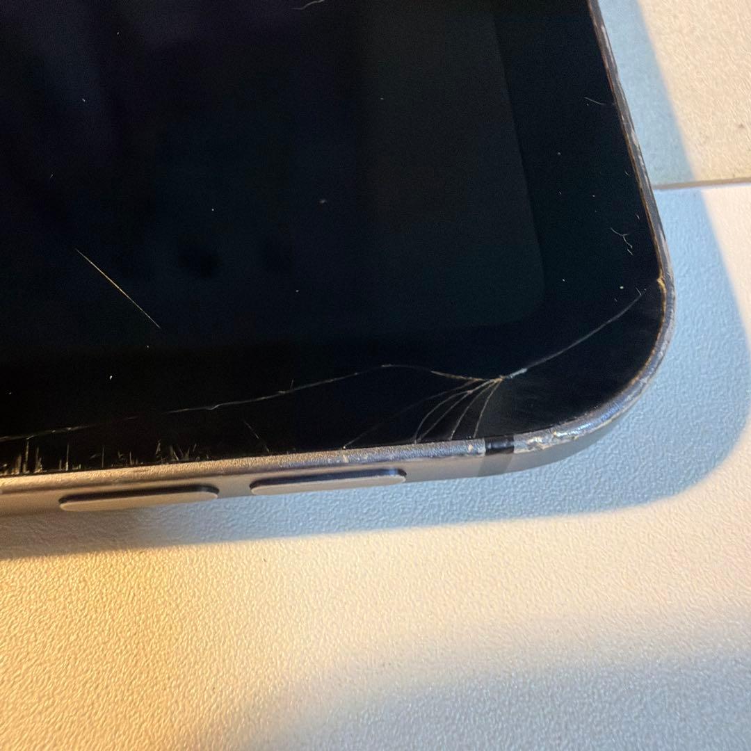 iPad プロ 11インチ 第2世代 SIMなし 割れあり 画面、スイッチ等〇