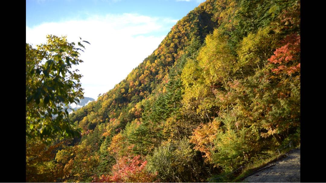 Nikkor AI 28mm f/2.8 単焦点レンズ