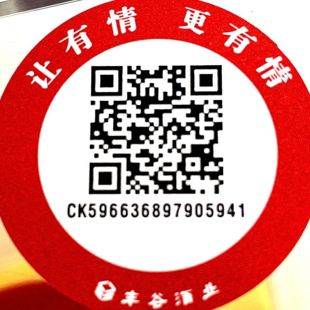 中国酒（未開封）２本セット （丰谷酒王，Gong tai jiu）