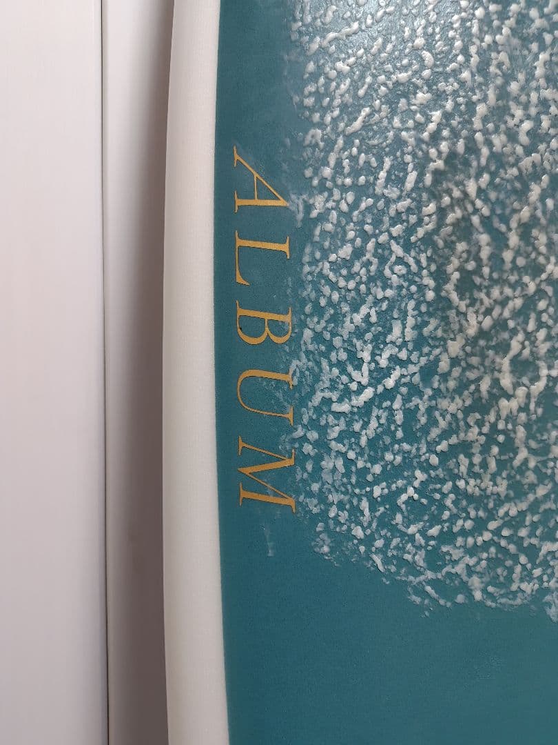 ALBUM　MOONSTONE(6'6\")4チャンネルボトム