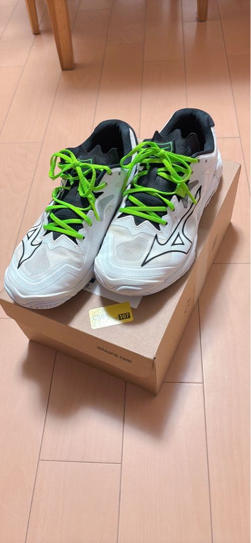 サボさん専用　Mizuno バレーボールシューズ 24.5センチ　3E