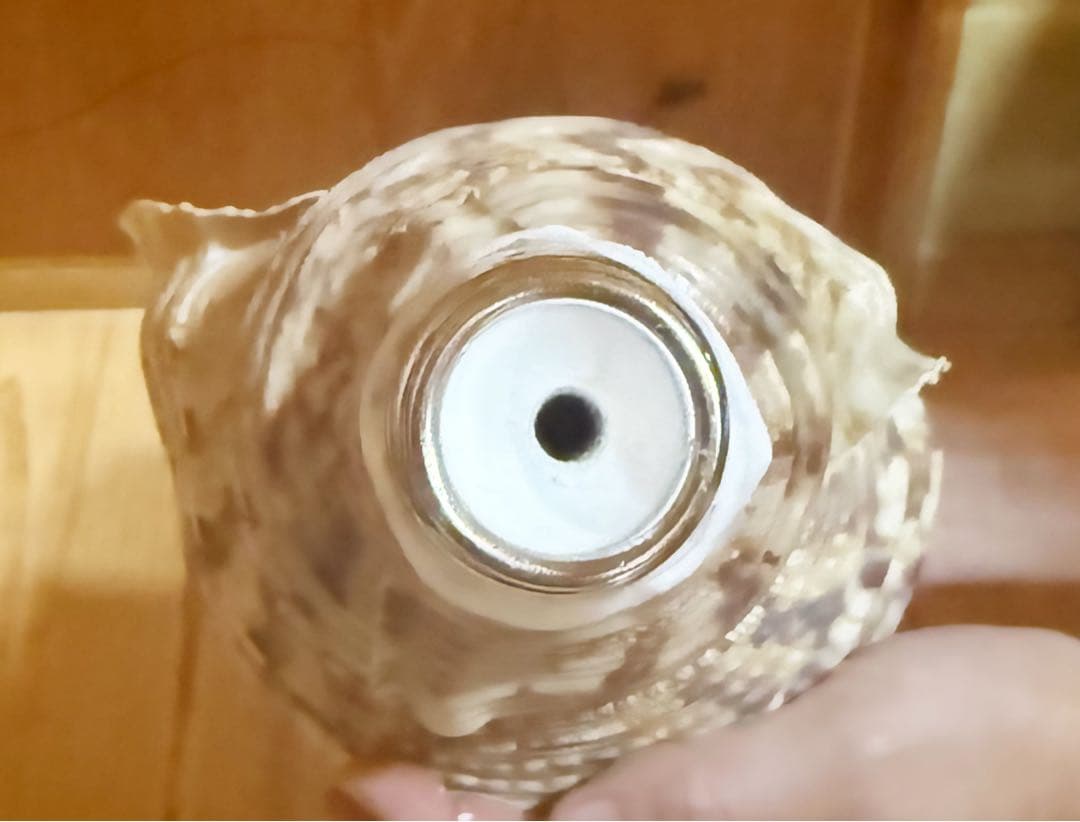 大型修験道法螺貝39㎝　山伏　密教　魔除け　熊よけ❣️ホラガイ　ほら貝