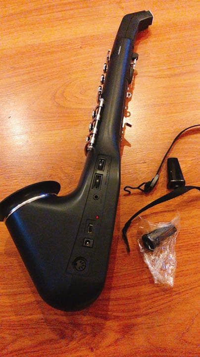 オ*マ様 希少　カシオ　デジタルホーン　DH-800