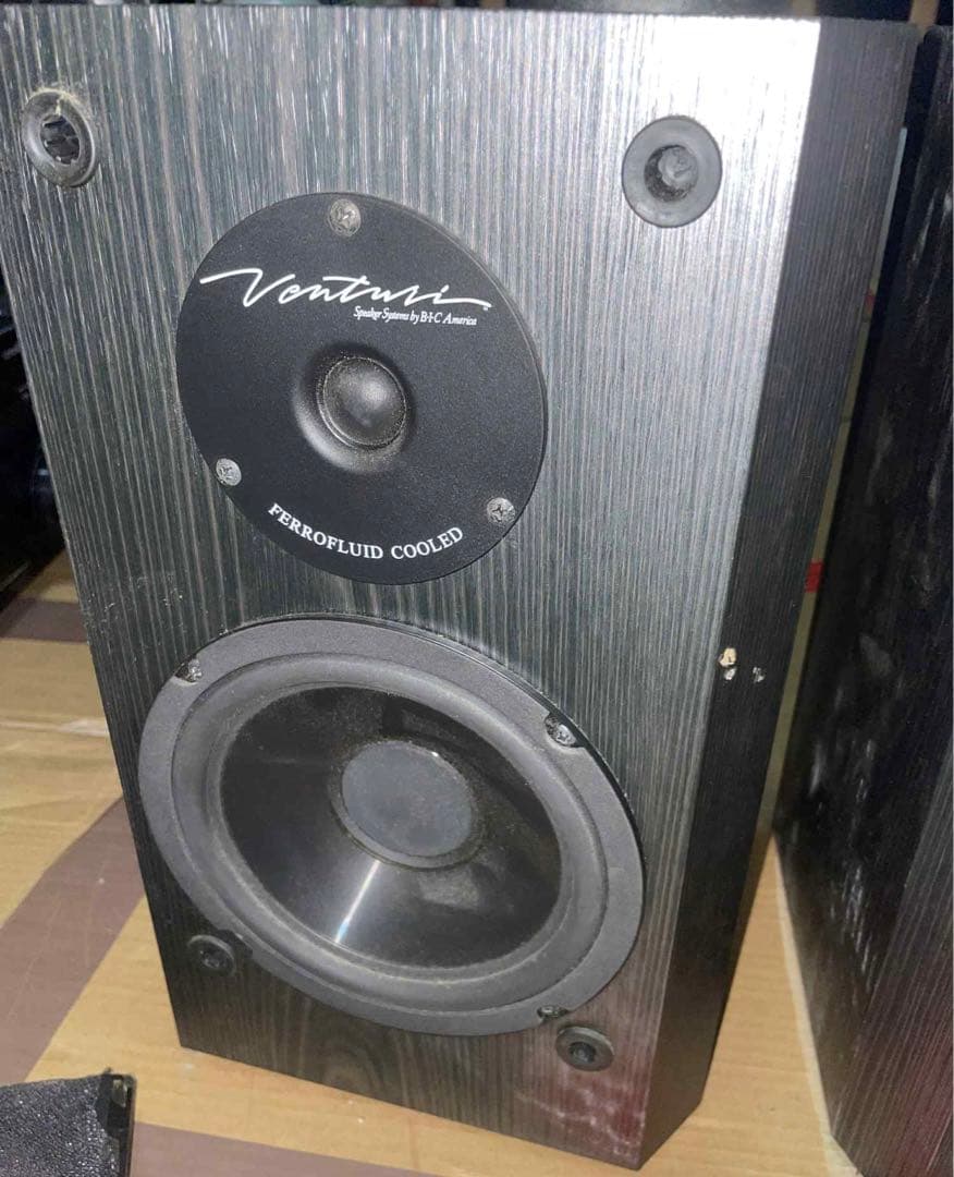 BIC America DV62Si スピーカー バスレフ式 ブラック