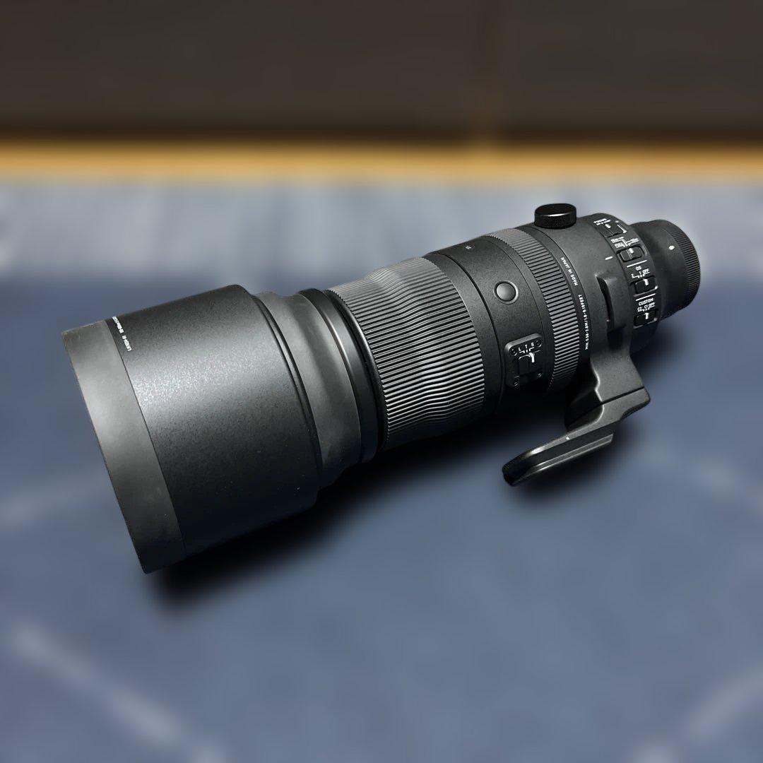 SIGMA 150-600mm F5-6.3 DG DN OS ソニーEマウント