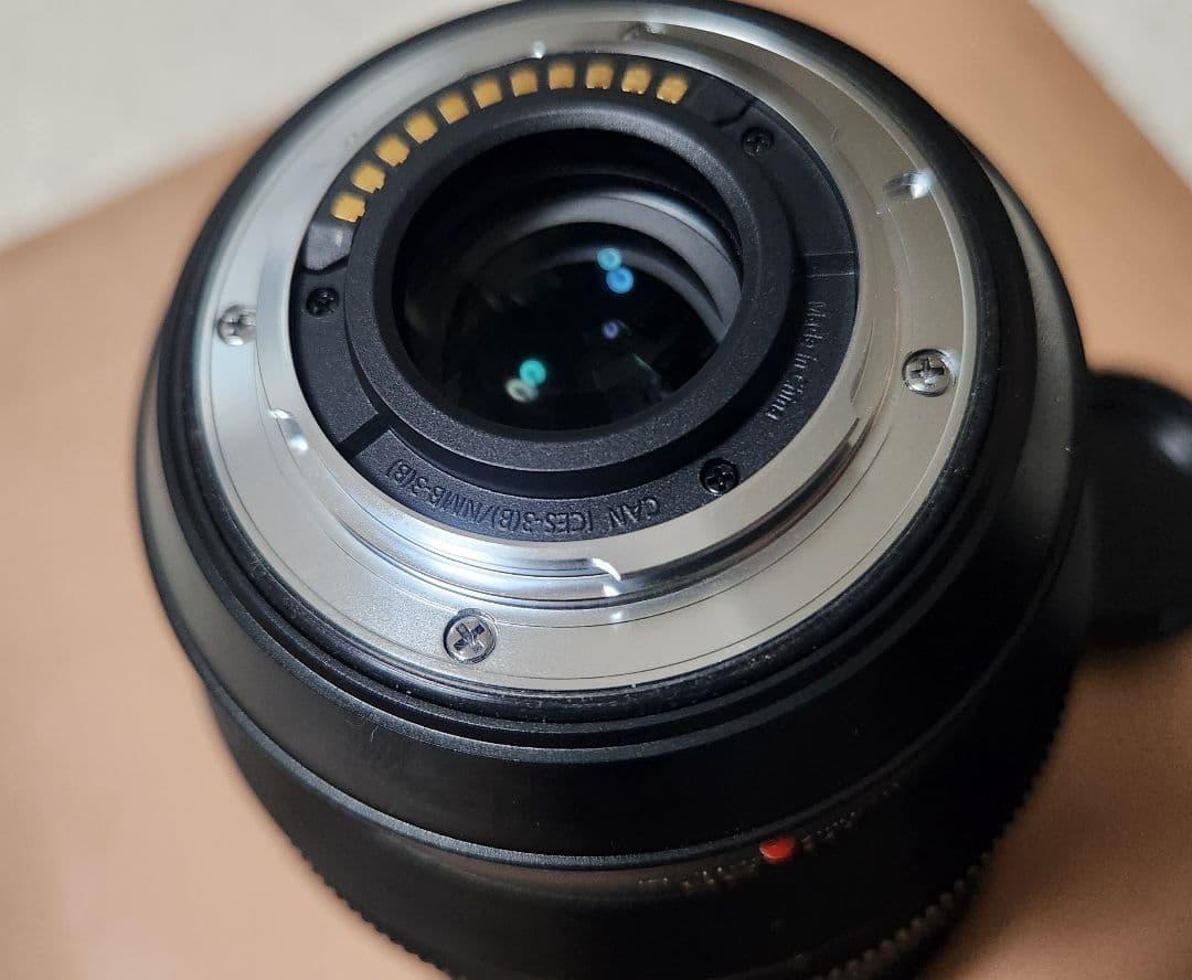 レンズ(ズーム) LEICA 10-25mm F1.7 H-X1025