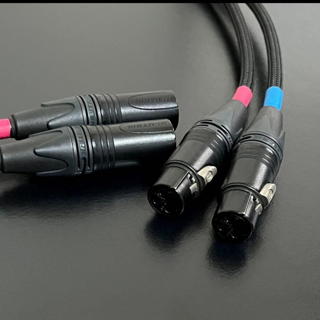 ケーブル・シールド ACOUSTIC REVIVE LINE-1.0X TripleC-FM 1m