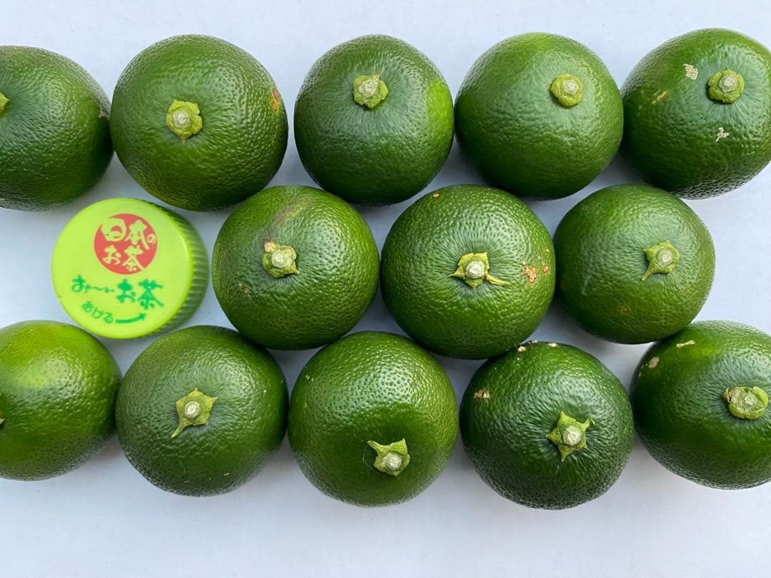 徳島県神山町産　《冷蔵貯蔵すだち》 綺麗なLサイズ　5キロ　　③