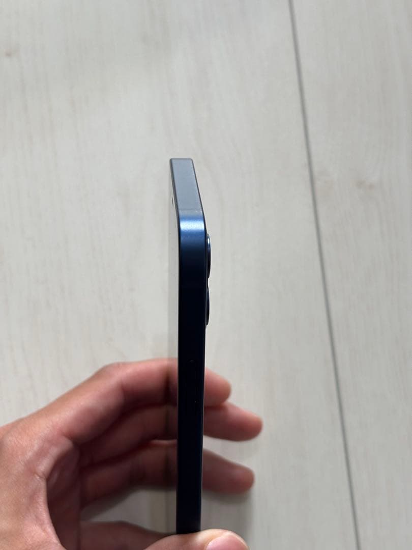 Apple iPhone 12 ブルーBlue 256gb【大容量】