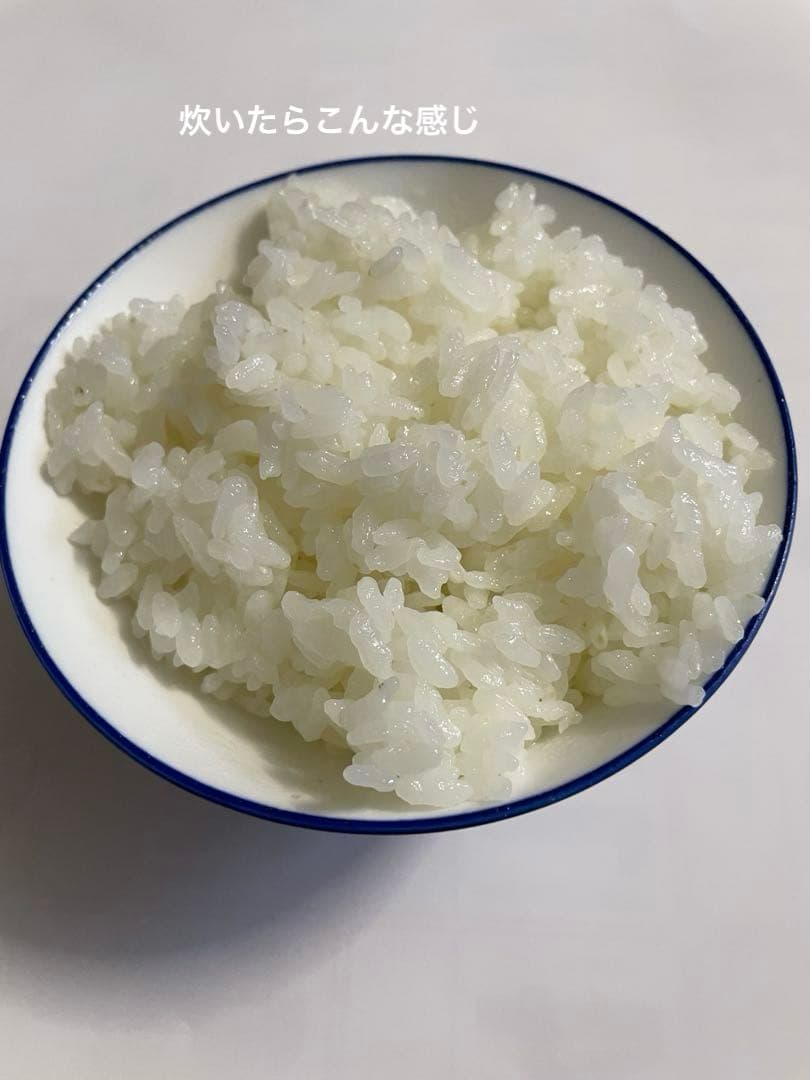 玄米　20kg 農家直送　コシヒカリ　 広島県産