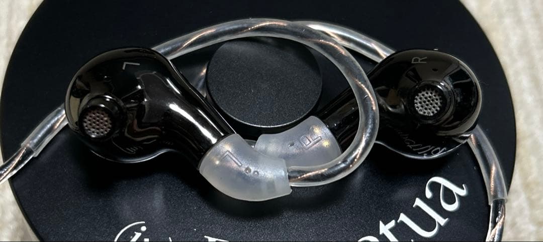 DITA Perpetua ガラスコーティング済