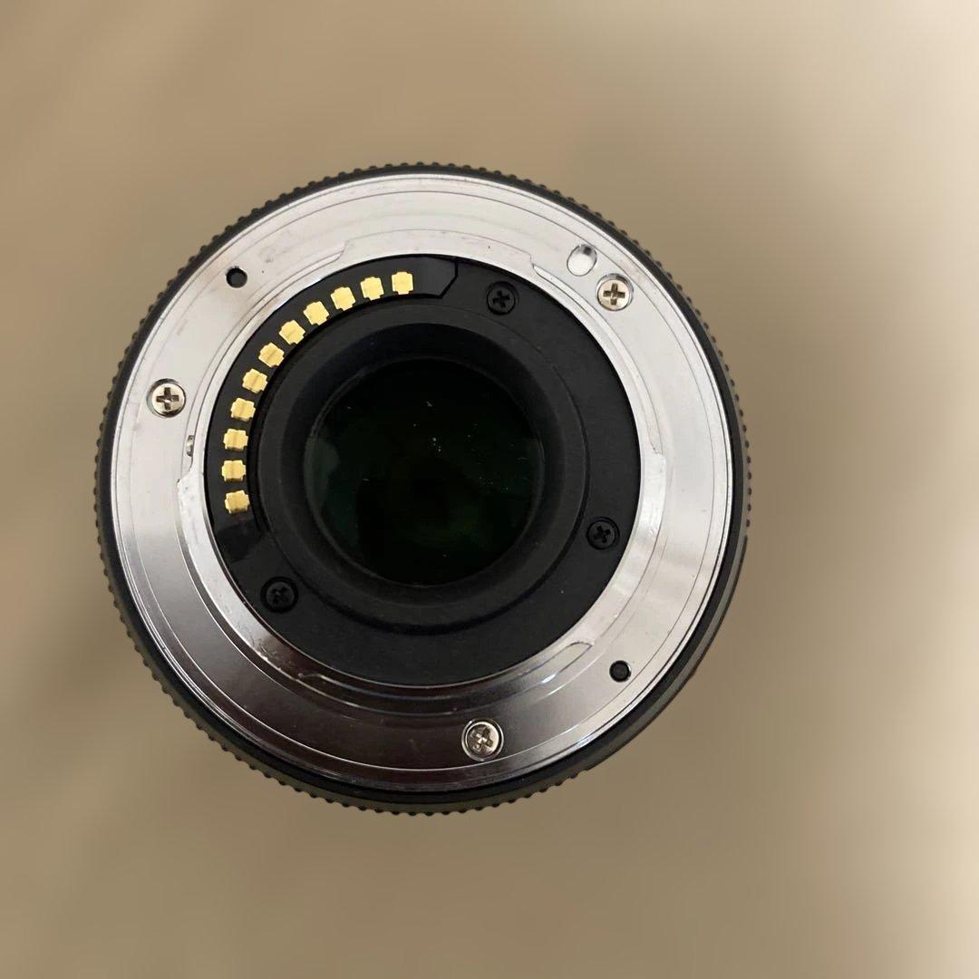 Panasonic LUMIX 45-175mm ズームレンズ