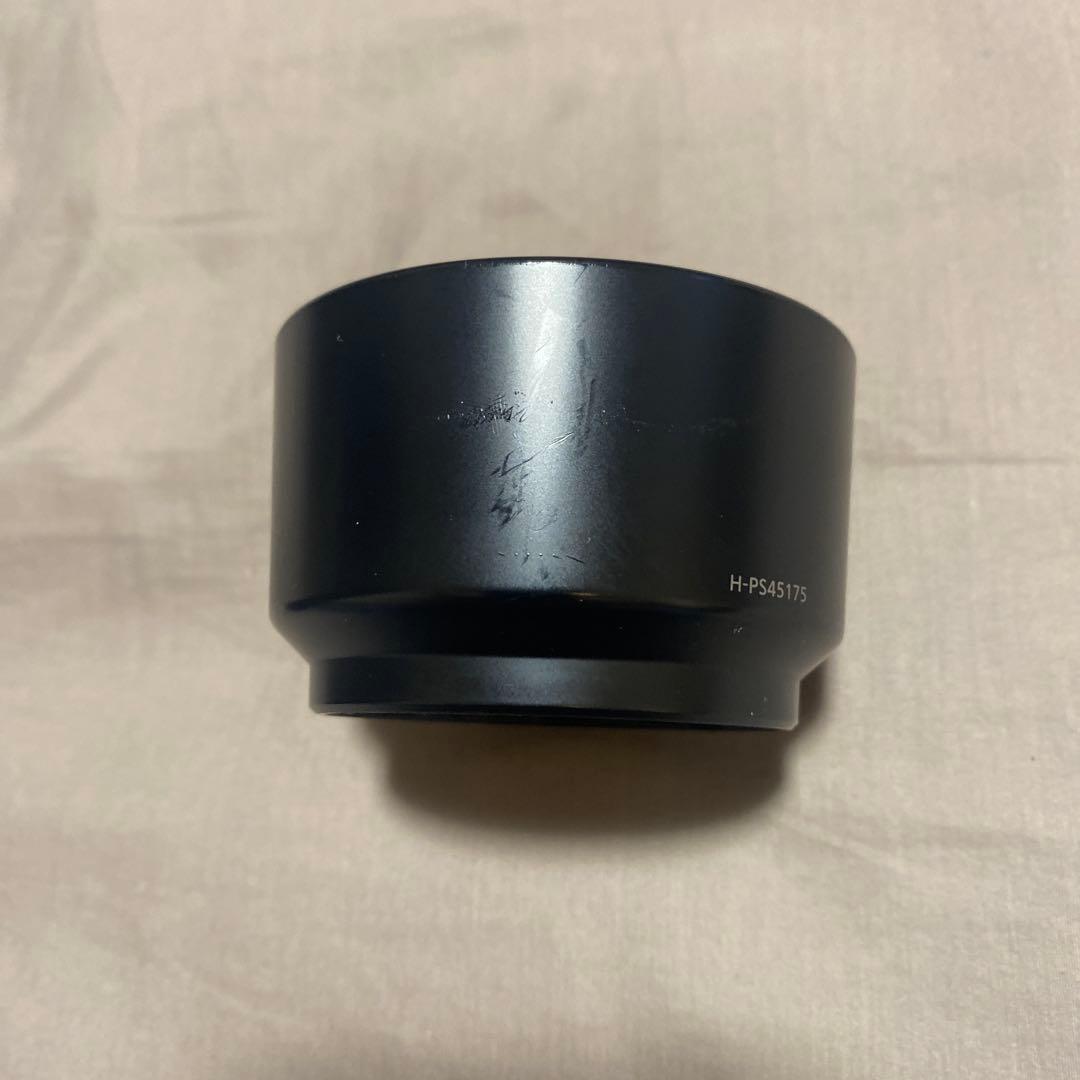 Panasonic LUMIX 45-175mm ズームレンズ