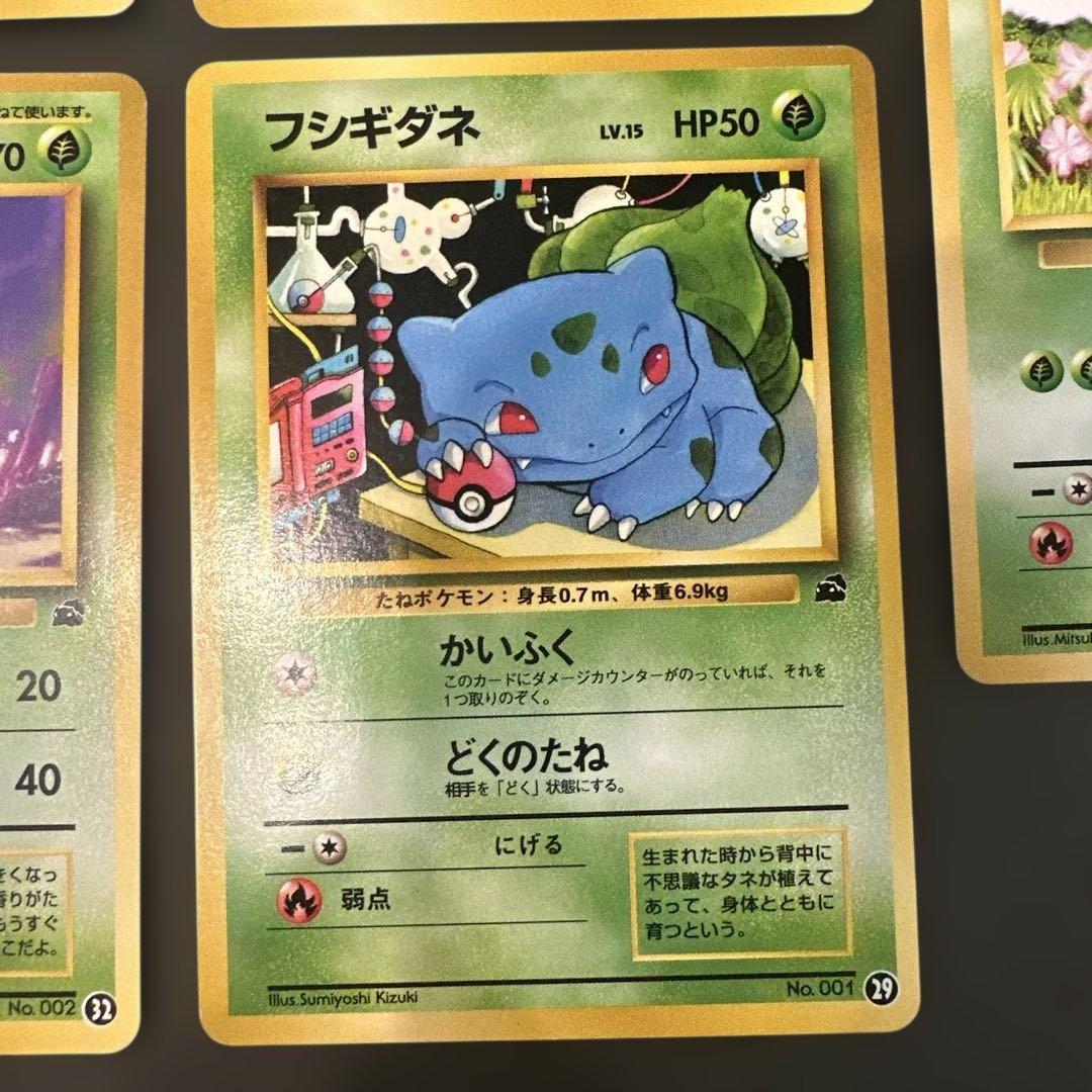 旧裏 フシギダネ