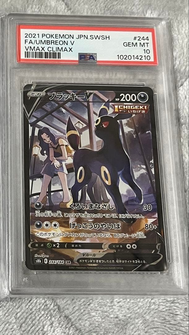 ブラッキーV CSR S8b VMAXクライマックス 244/184　PSA10