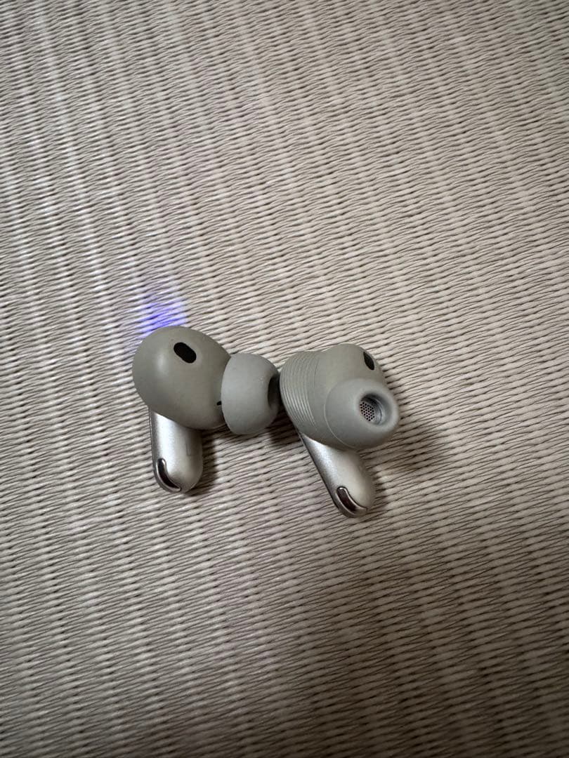 JBL ワイヤレスイヤホン シルバー