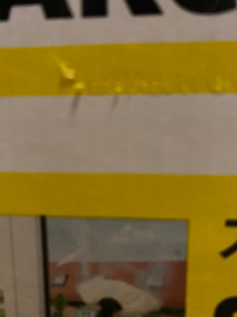 KARCHER スチームクリーナー SC JTK 20 本体