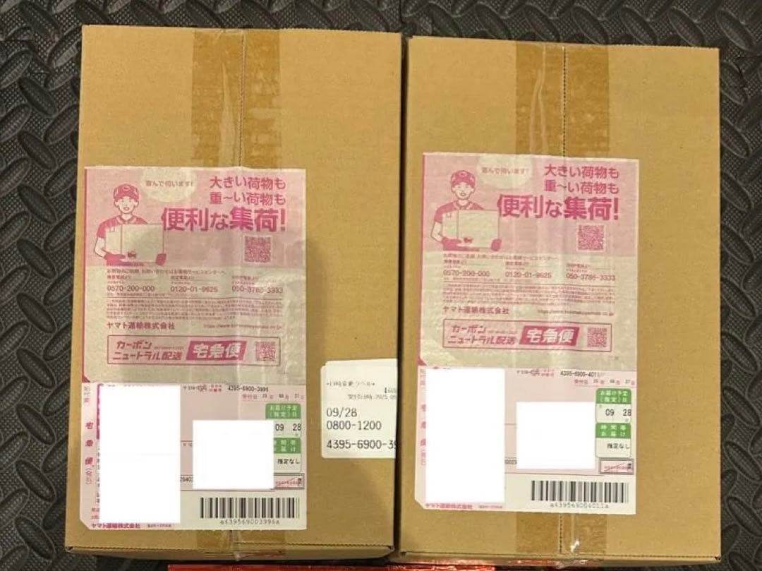 ポケモンセンター スペシャルBOX フクオカ