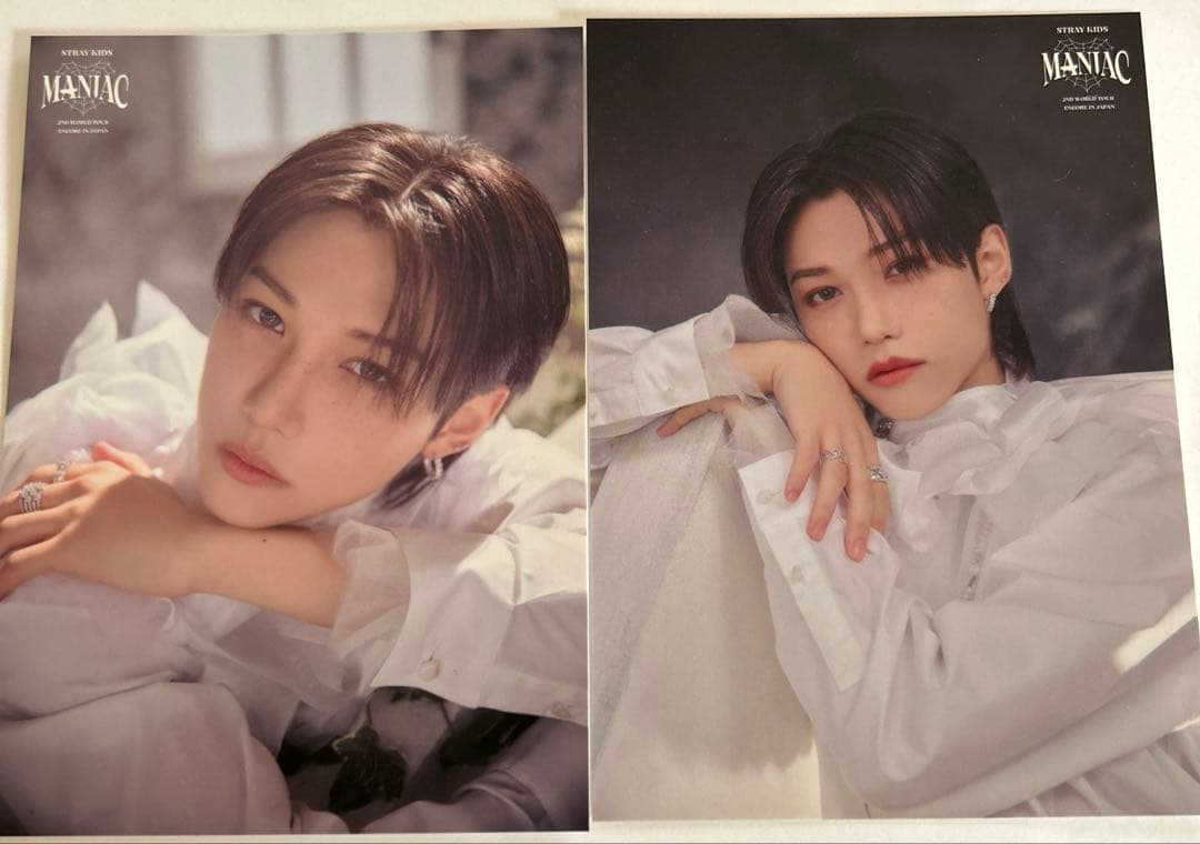 Straykids Felix フィリックストレカまとめ売りセット