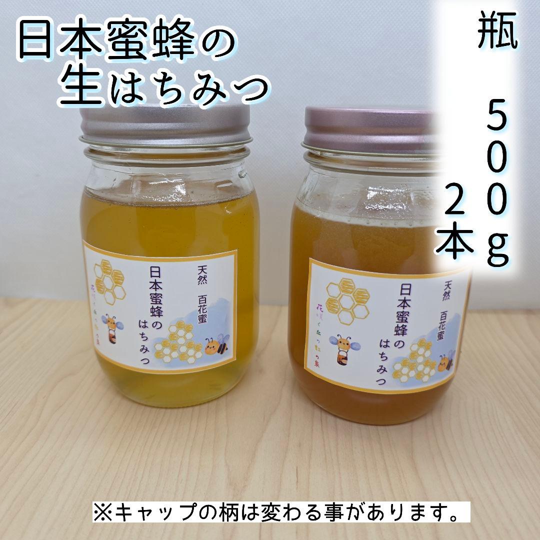 日本蜜蜂　百花蜜　500g×2本　生はちみつ