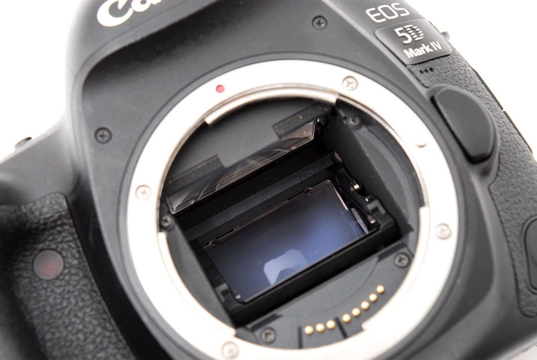 Canon EOS 5D Mark IV ＋Canon EF28-80㎜