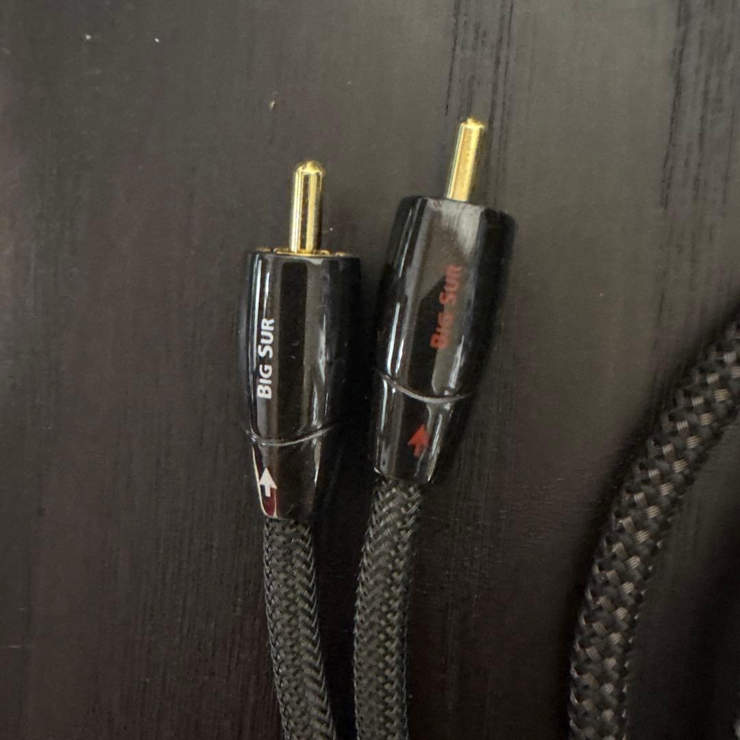 AUDIO QUEST BIG SUR RCAケーブル 約2メートル