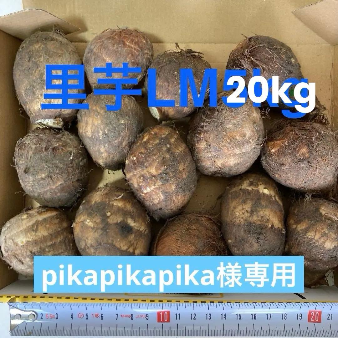 里芋LM20kg 専用品