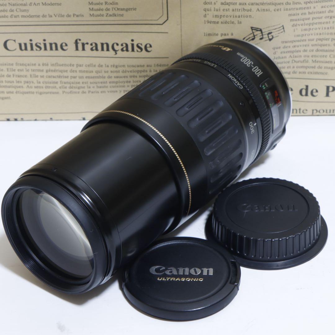 ◇超望遠&高速AF◇Canon純正 300mm 望遠レンズ!!◇