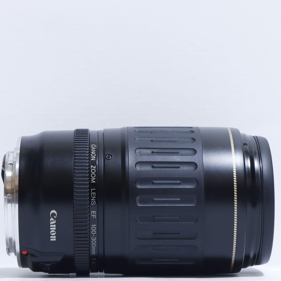 ◇超望遠&高速AF◇Canon純正 300mm 望遠レンズ!!◇