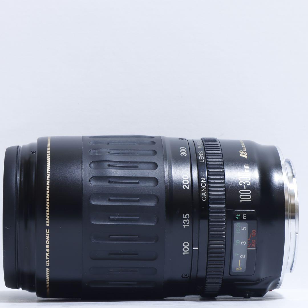 ◇超望遠&高速AF◇Canon純正 300mm 望遠レンズ!!◇