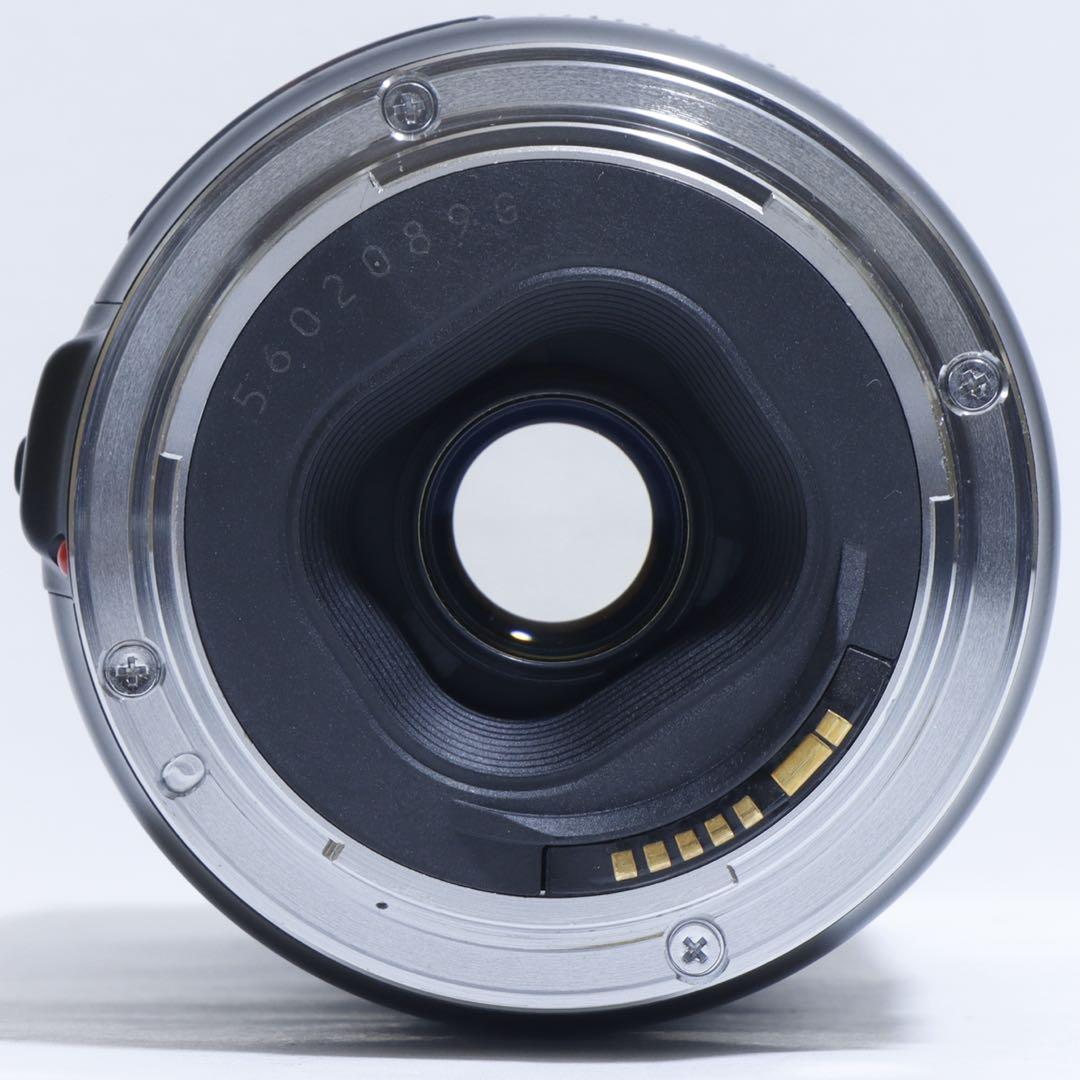 ◇超望遠&高速AF◇Canon純正 300mm 望遠レンズ!!◇