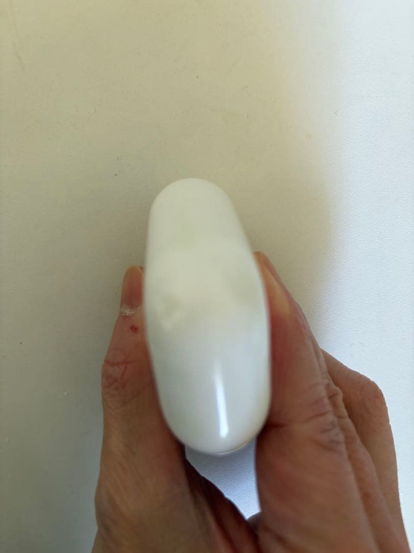 Apple AirPods Pro 2 ライトニング