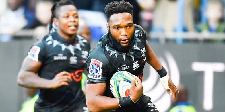 ラグビー 選手支給ジャージ 南アフリカ シャークス サイズL 新品 背番号8