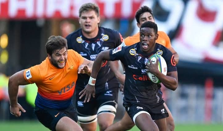 ラグビー 選手支給ジャージ 南アフリカ シャークス サイズL 新品 背番号8