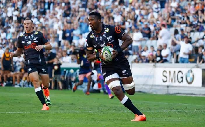 ラグビー 選手支給ジャージ 南アフリカ シャークス サイズL 新品 背番号8