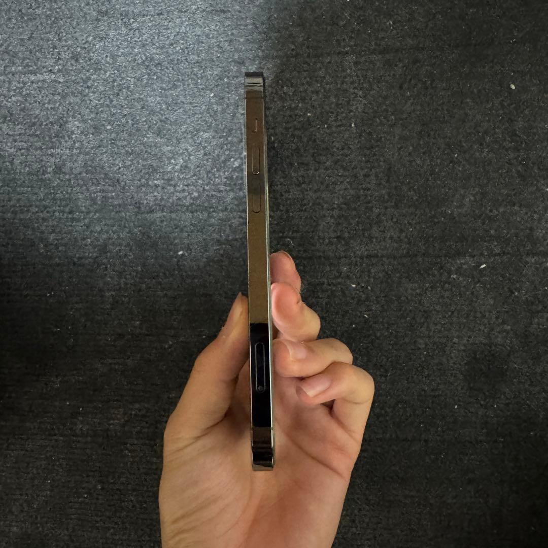 Apple iPhone12 pro グラファイト