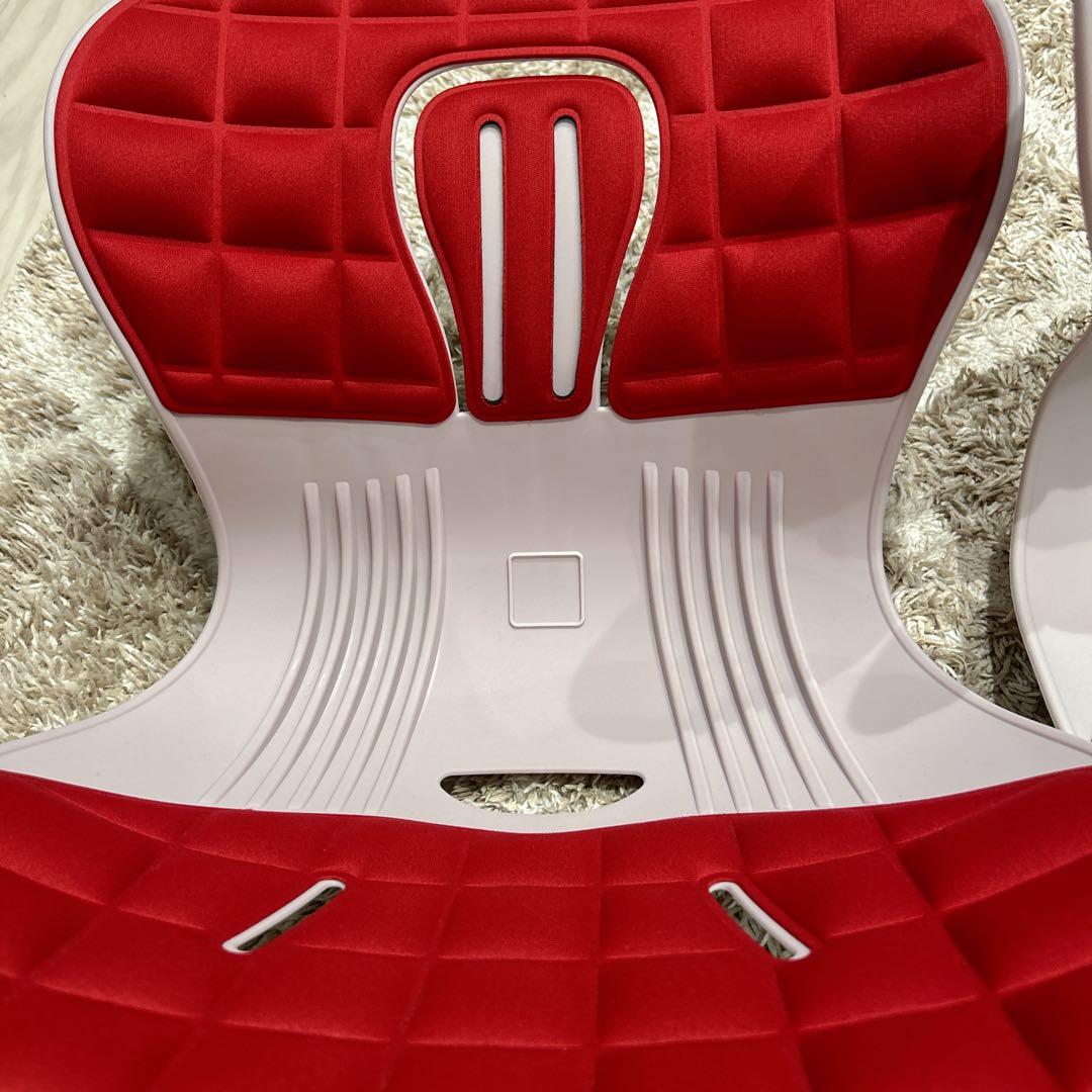 美品✨ピン・セスジ 骨盤サポート姿勢改善 セット ピンセスジ ブラック レッド