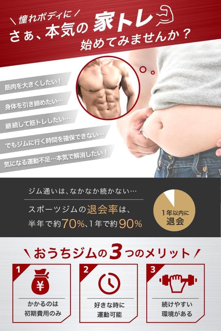 PYKES PEAK (パイクスピーク) ぶら下がり健康器 懸垂マシン 懸垂バー