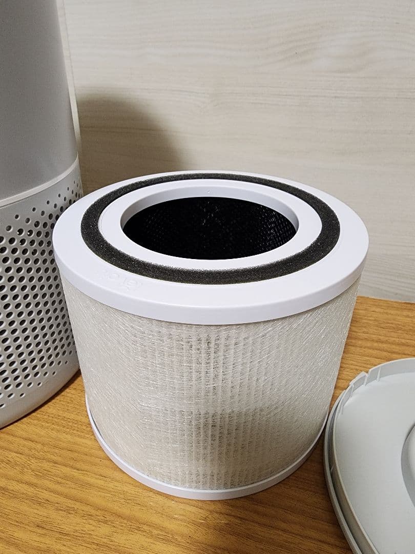 美品　Levoit pet 空気清浄機 20畳脱臭強化・ペットcore p350