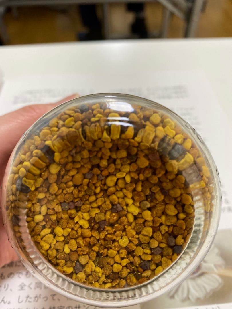 はちみつ　日本蜜蜂のハチミツ　奥山の蜂蜜　花粉入り　谷違い巣箱違いの２種