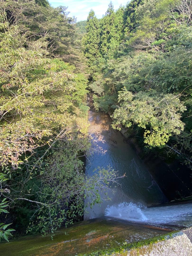 はちみつ　日本蜜蜂のハチミツ　奥山の奥の蜂蜜　国産蜂蜜愛媛産