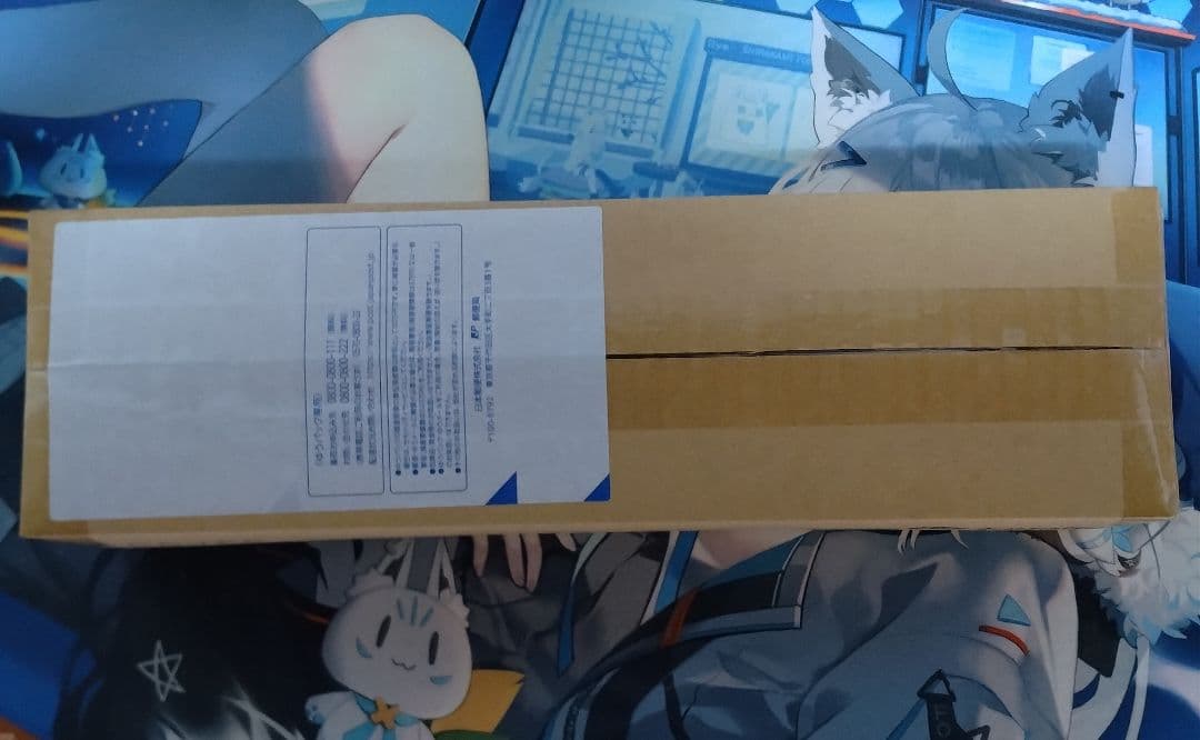 新品未開封 ホロカ 1st Anniversary 白上フブキ